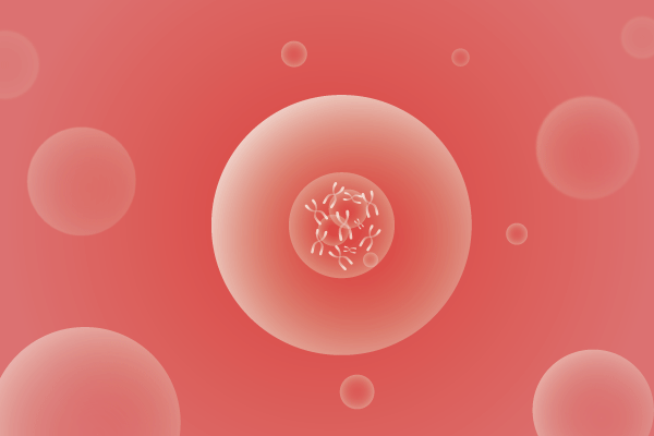 CNV,拷贝数变化遗传病、基因病、罕见病基因解码，基因检测，基因筛查与分子诊断