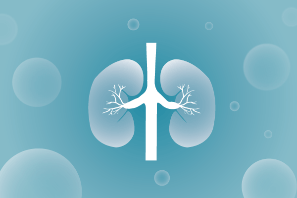 泌尿系统，肾脏，膀胱，尿病，肾不好遗传病、基因病、罕见病的基因解码，基因检测，基因筛查与分子诊断