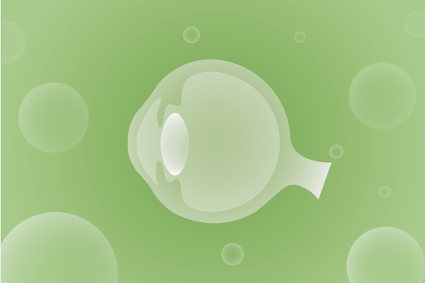 眼科，视光中心，眼科诊所，眼睛相关遗传病、基因病、罕见病的基因解码，基因检测，基因筛查与分子诊断