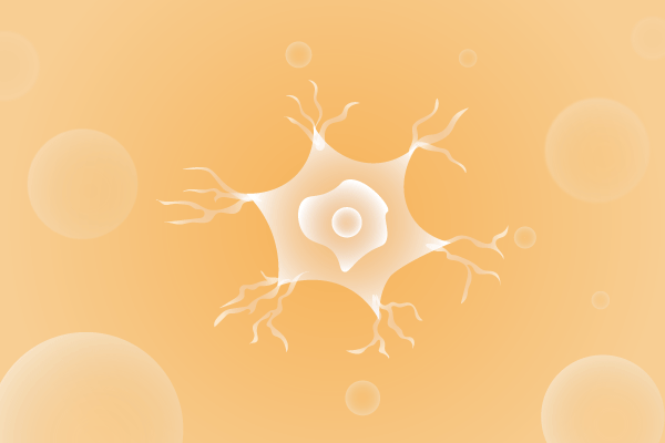神经科肌肉系统及运动神经系统遗传病、基因病、罕见病的基因解码，基因检测，基因筛查与分子诊断