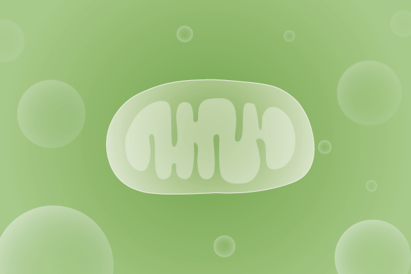 线粒体病、线粒体疾病遗传病、基因病、罕见病基因解码，基因检测，基因筛查与分子诊断