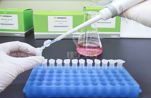 Ebpay基因新生儿