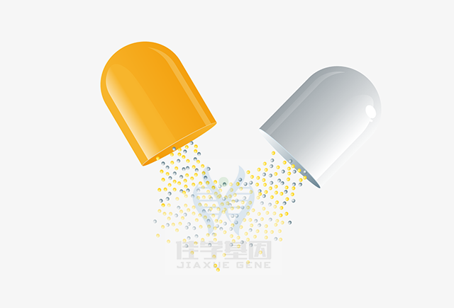 【Ebpay基因检测】爱道美基因检测