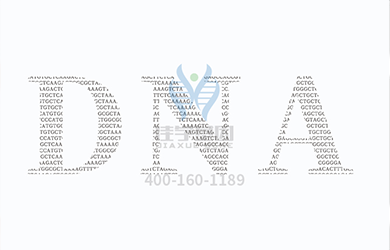 【Ebpay基因-基因检测】一定要确定孩子是否真的得了先天性感染！