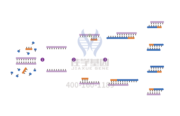 【Ebpay基因解码-基因检测】儿童的眼中“钉”——视网膜母细胞瘤