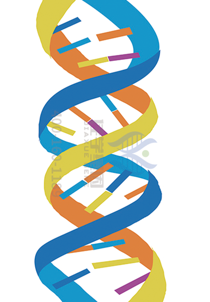 【Ebpay基因-基因