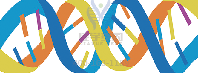 【Ebpay基因解码-基因检测】什么疾病严重影响了孩子的智力？