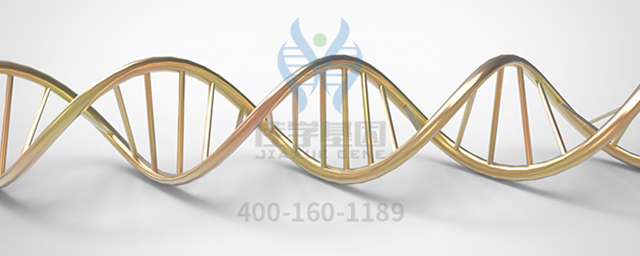 <b>【Ebpay基因检测】基因检测指导维生素D治疗男性不育</b>