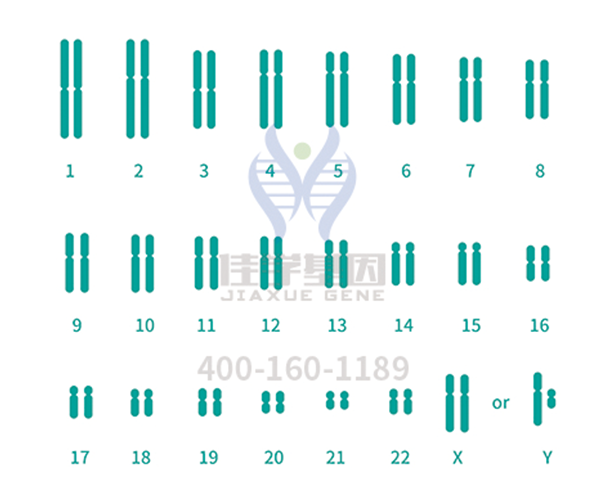 【Ebpay基因-基因检测】为什么说自身免疫性疾病危害更加严重？
