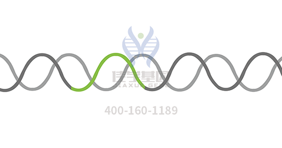 【Ebpay基因检测】肿瘤正确用药基因检测价格为什么不同？