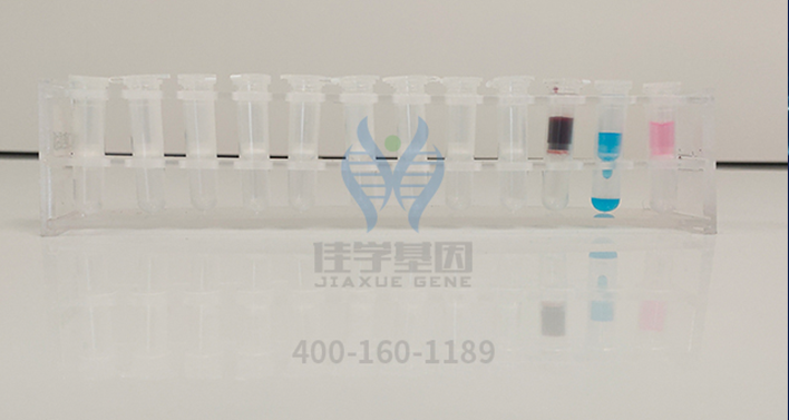 【Ebpay基因-基因检测】8岁女孩虚弱、呕吐、腹痛，该如何查找病因、对症治疗